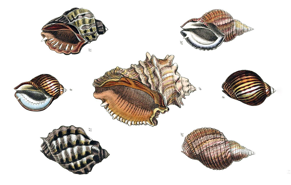 About the gtm.uniqueEventId dataLayer variable